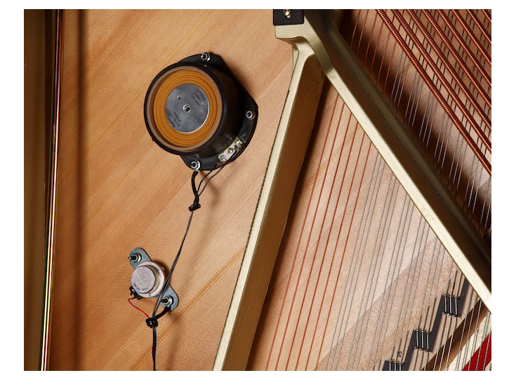 Kawai K 300 AURES 2 WHP