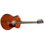 Brunswick BF200M Mahogany Gloss