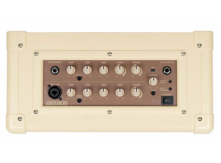 BLACKSTAR Acoustic Core 30