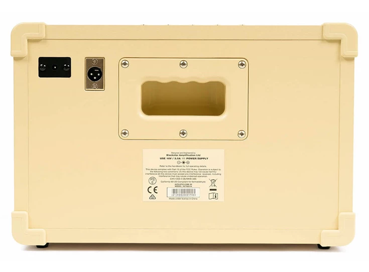 BLACKSTAR Acoustic Core 30