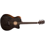 CORE-OC SP Open Pore Trans Black EQ