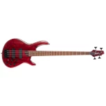 CORT B4 Element Burgundy Red