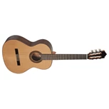 PACO CASTILLO 202.png