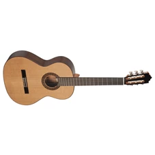 PACO CASTILLO 202.png