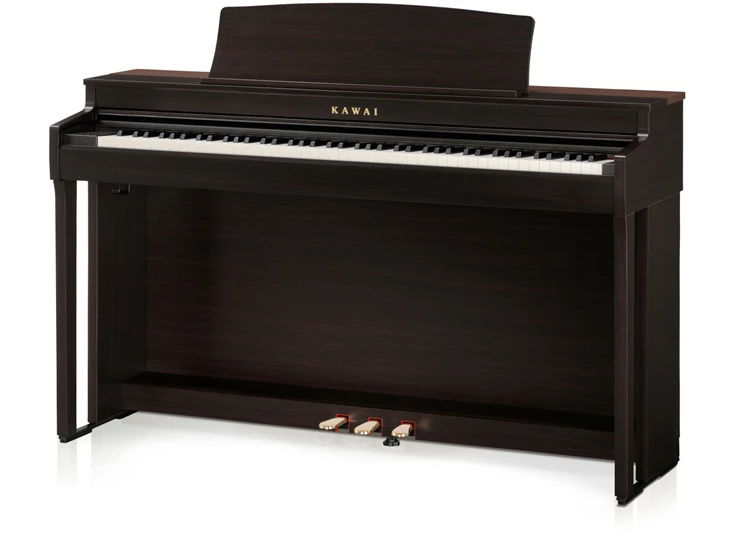 KAWAI CN 301 R