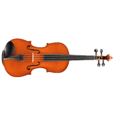 EASTMAN STRINGS Ivan Dunov VL170 Viool 4/4