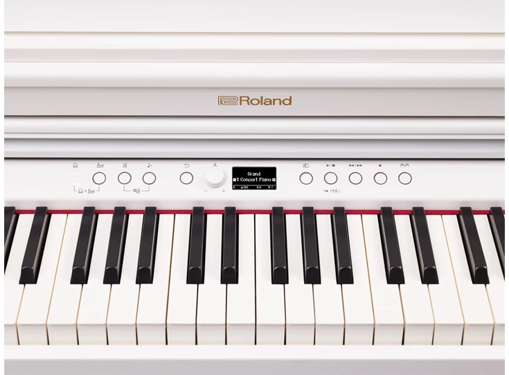Roland RP-701 White