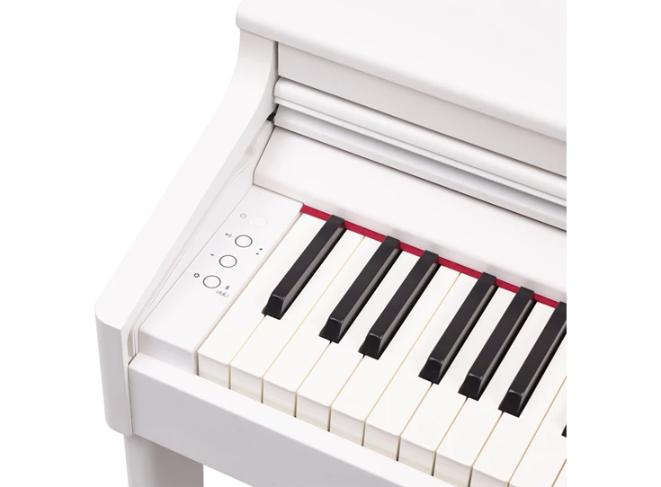 Roland RP-701 White
