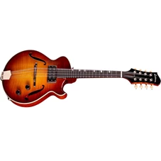 EASTMAN ER-M Goldburst