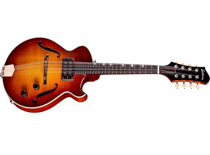 EASTMAN ER-M Goldburst