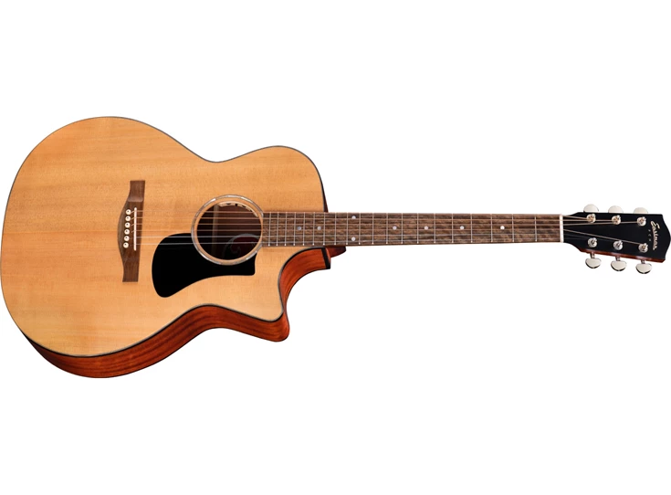 EASTMAN PCH1-GACE Thermo-Cure Natural