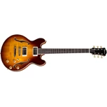 EASTMAN T184MX Goldburst