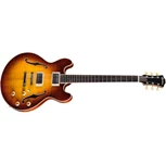 EASTMAN T185MX Goldburst