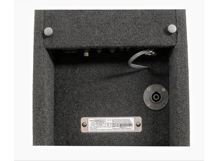 MARK BASS MINIMARK 802 N 300