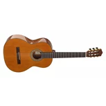 SALVADOR CORTEZ Nova C/JR Student Classic Jr