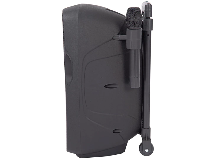 KAM 10" Portable Speaker with Bluetooth