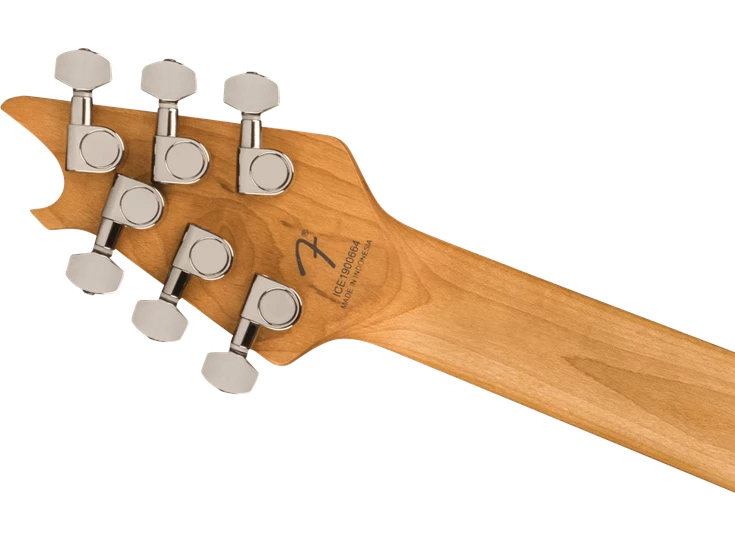 EVH Wolfgang® WG Standard Exotic Zebrawood, Baked Maple Fingerboard, Natural