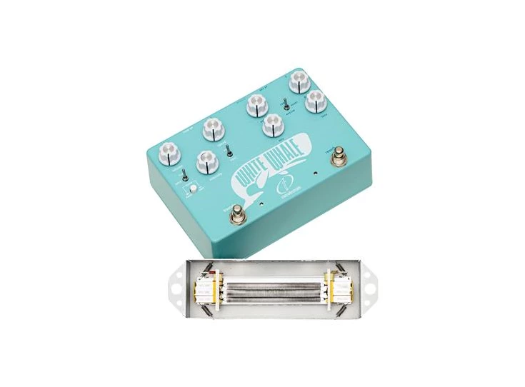 White Whale V2 (2).jpg