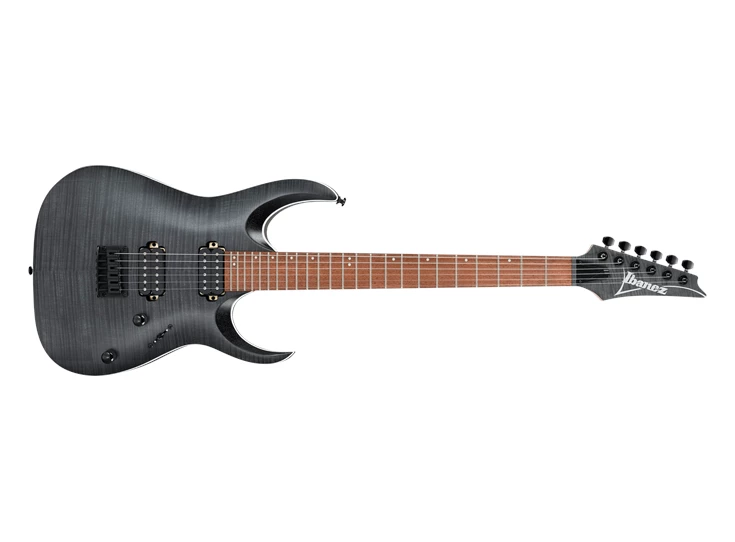Ibanez RGA42FMTGF Transparent Gray Flat