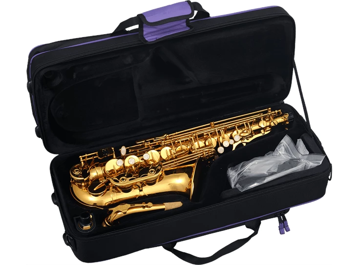 SML PARIS A620-II Alt Saxofoon Lacquered