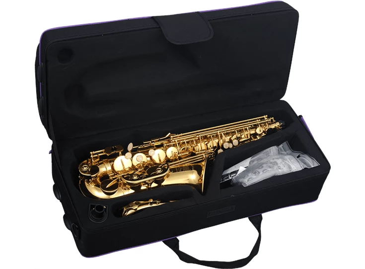 SML PARIS A420-II Alt Saxofoon, Lacquered