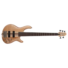 CORT A5 Plus FMMH Open Pore 5-String