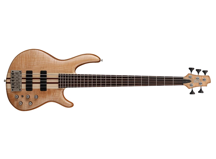 CORT A5 Plus FMMH Open Pore 5-String