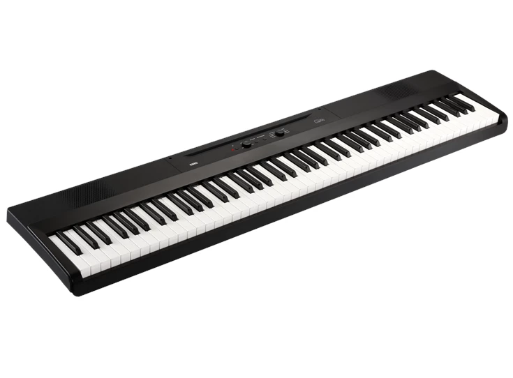 KORG Liano Digitale Piano 8 W, USB, Black