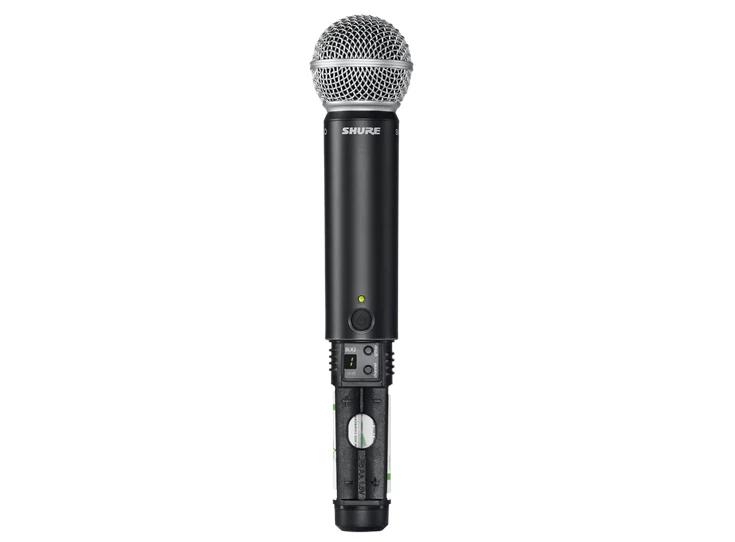 SHURE BLX24RE/SM58