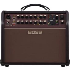 BOSS Acoustic Singer Live