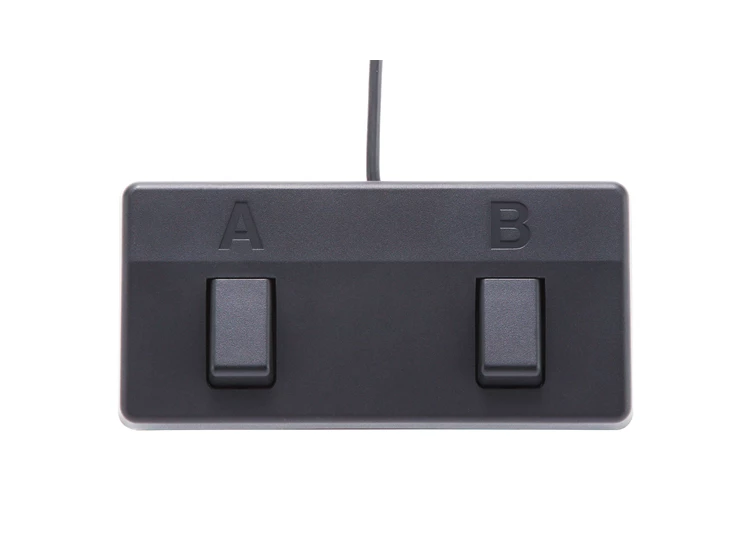 BOSS Acoustic Singer Live