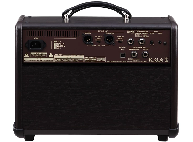 BOSS Acoustic Singer Live