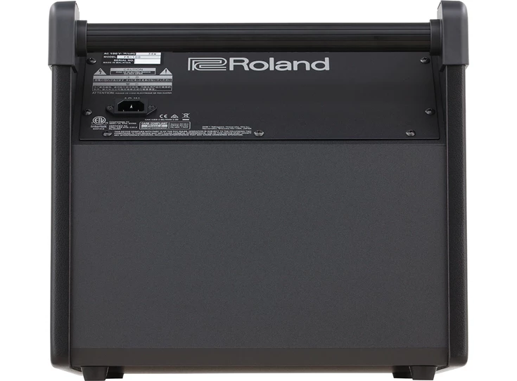 ROLAND PM-100