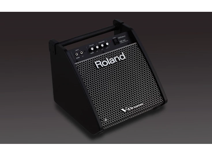 ROLAND PM-100