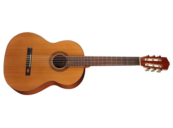 SALVADOR CORTEZ CC-10-SN