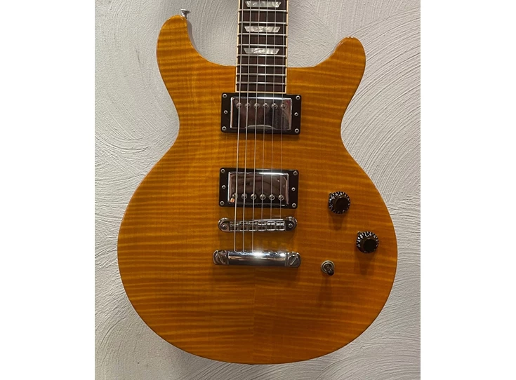 Gibson Les Paul Standard-2.jpg