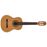 SALVADOR CORTEZ CC-22-JR