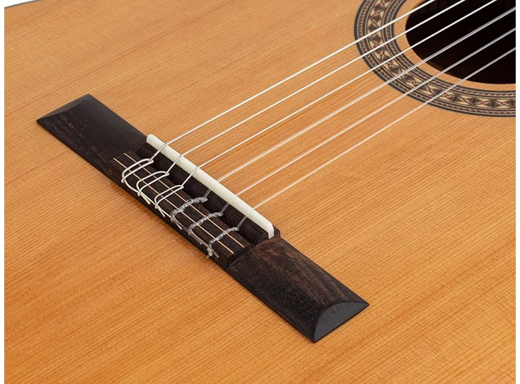 SALVADOR CORTEZ CC-22-JR