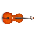 EASTMAN STRINGS VC5044SBC – Cello 4/4