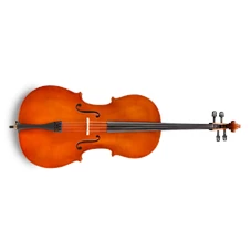 EASTMAN STRINGS VC5044SBC – Cello 4/4
