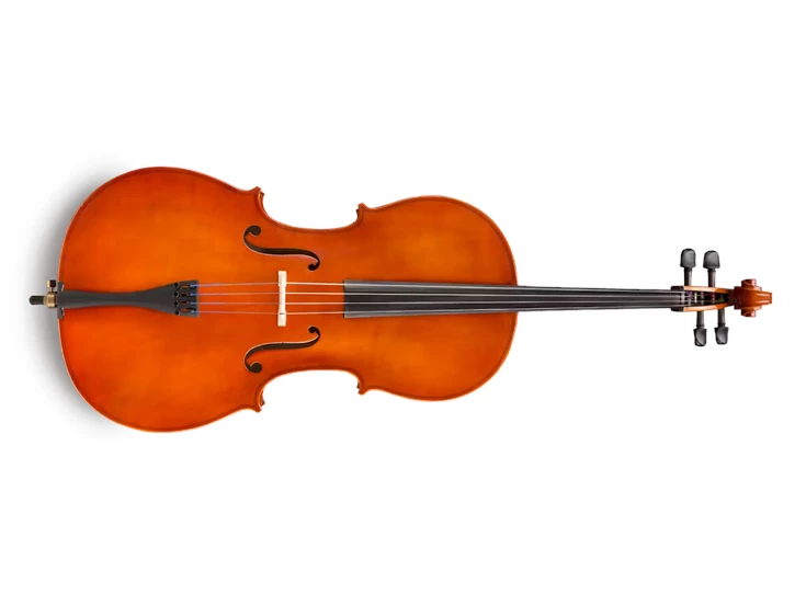 EASTMAN STRINGS VC5044SBC – Cello 4/4