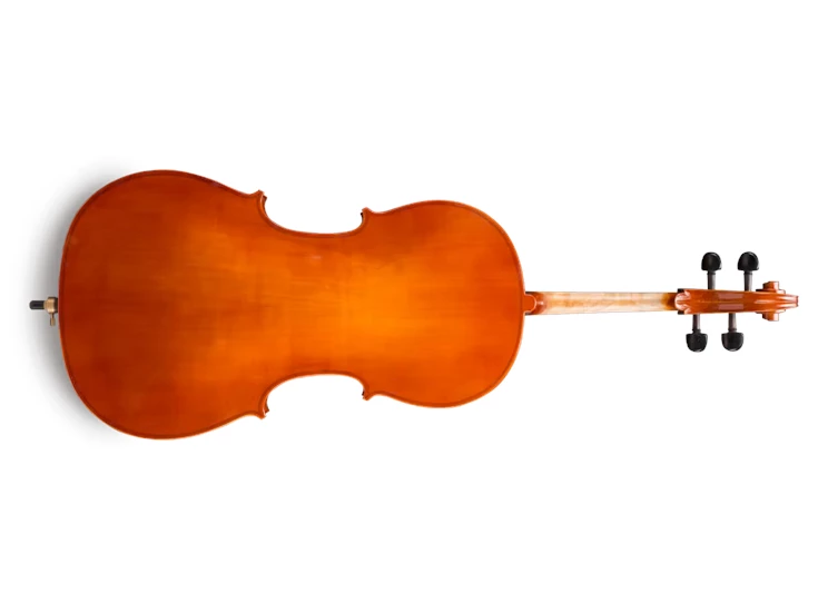 EASTMAN STRINGS VC5044SBC – Cello 4/4