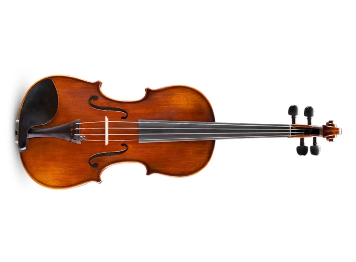 EASTMAN STRINGS Andreas Eastman VL305 Violin + bow + case 4/4