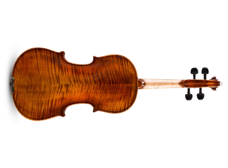 EASTMAN STRINGS Andreas Eastman VL305 Violin + bow + case 4/4