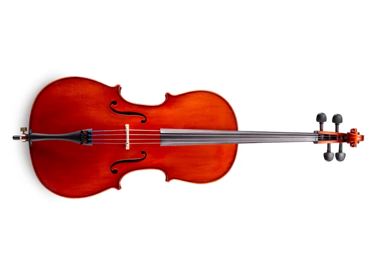 EASTMAN STRINGS Samuel Eastman VC150 – Cello 4/4