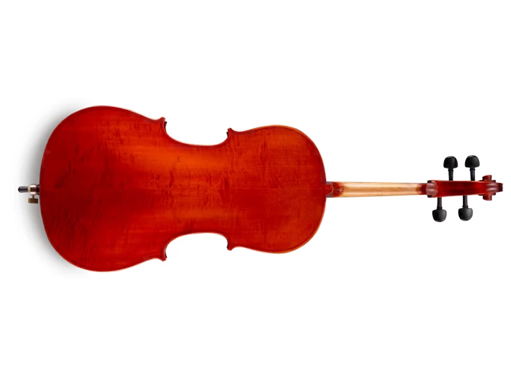 EASTMAN STRINGS Samuel Eastman VC150 – Cello 4/4