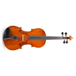 EASTMAN STRINGS Samuel Eastman VL50 Viool 4/4