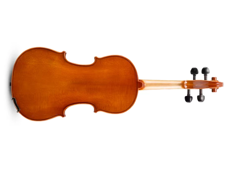 EASTMAN STRINGS Samuel Eastman VL50 Viool 4/4