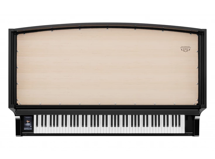 KAWAI NV12