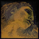 PIRASTRO Evah Pirazzi Gold Vioolsnaren Set Medium G- gold en E-ball end